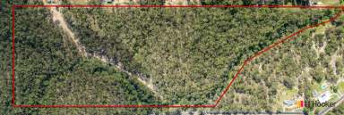 Farm For Sale - NSW - North Batemans Bay - 2536 - DEVELOP THE DREAM!  (Image 2)