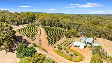 Farm For Sale - WA - Margaret River - 6285 - Privacy, Peacefulness and Panorama  (Image 2)