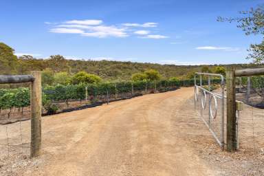 Farm For Sale - WA - Margaret River - 6285 - Privacy, Peacefulness and Panorama  (Image 2)