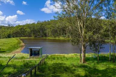 Farm For Sale - QLD - Brooloo - 4570 - Picturesque & Productive Mary Valley Farm  (Image 2)