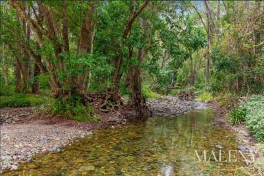 Farm For Sale - QLD - Cambroon - 4552 - Private Hinterland Retreat with Dual Living  (Image 2)