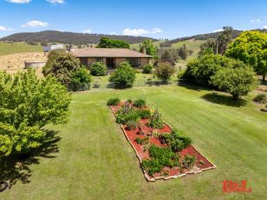 Farm For Sale - NSW - Charlton - 2795 - "North Charlton" Serene Country Lifestyle  (Image 2)