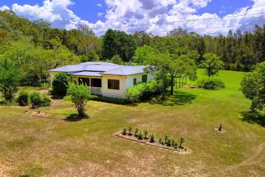 Farm Auction - NSW - Failford - 2430 - Wallamba River Views.  (Image 2)