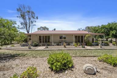 Farm For Sale - VIC - Miepoll - 3666 - 7.75 Acres of Lifestyle Bliss - 10 Mins from Euroa!  2 Residences + Farm Stay Potential!  (Image 2)