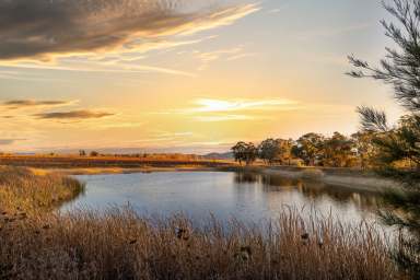 Farm For Sale - NSW - Mudgee - 2850 - Craigmoor, an iconic part of Mudgee's winemaking history  (Image 2)