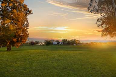 Farm For Sale - NSW - Mudgee - 2850 - Craigmoor, an iconic part of Mudgee's winemaking history  (Image 2)