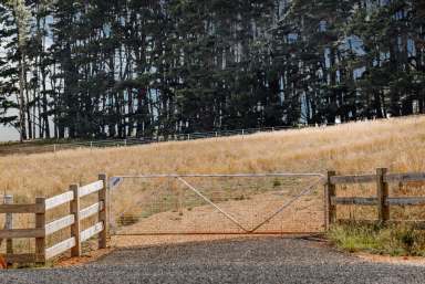 Farm For Sale - NSW - Oberon - 2787 - Perfect Parcel -Highlands Estate  (Image 2)