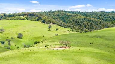 Farm For Sale - VIC - Seaton - 3858 - 167 Acres of Views.  (Image 2)