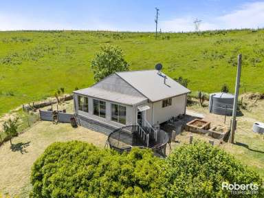 Farm For Sale - TAS - Barrington - 7306 - Breathtaking Mt Roland & Lake Barrington views on 64 acres approx.  (Image 2)