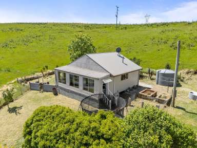 Farm For Sale - TAS - Barrington - 7306 - Breathtaking Mt Roland & Lake Barrington views on 64 acres approx.  (Image 2)