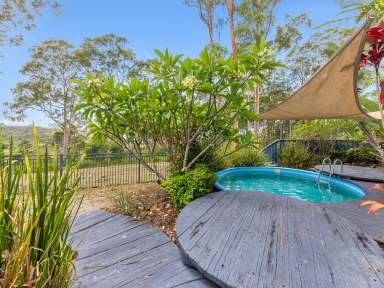 Farm For Sale - NSW - Ashby Heights - 2463 - Sustainable Living With Privacy  (Image 2)