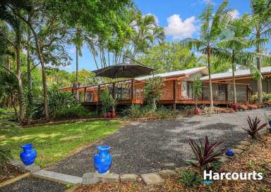 Farm For Sale - QLD - Branyan - 4670 - Slice of Paradise with River Views & Lush Tropical Gardens  (Image 2)