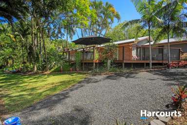 Farm For Sale - QLD - Branyan - 4670 - Slice of Paradise with River Views & Lush Tropical Gardens  (Image 2)