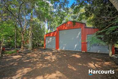 Farm For Sale - QLD - Branyan - 4670 - Slice of Paradise with River Views & Lush Tropical Gardens  (Image 2)