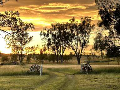 Farm For Sale - QLD - Roma - 4455 - Developed Grazing close to Roma  (Image 2)