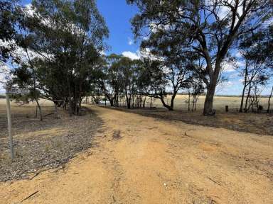 Farm Sold - VIC - Navarre - 3384 - BACK ON THE MARKET - CONTACT AGENT - MAKE AN OFFER  (Image 2)