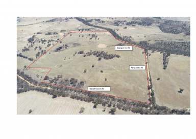 Farm Sold - VIC - Navarre - 3384 - BACK ON THE MARKET - CONTACT AGENT - MAKE AN OFFER  (Image 2)