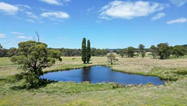 Farm For Sale - NSW - Chatham Valley - 2787 - A Quality Hobby Farm in the Heart of the Central Tablelands  (Image 2)