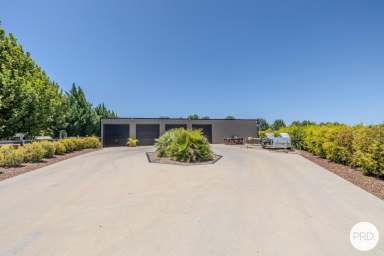 Farm For Sale - NSW - Gol Gol - 2738 - One of Kind  (Image 2)