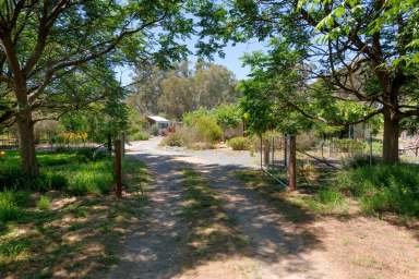 Farm Auction - NSW - Holbrook - 2644 - Charming Rural Retreat  (Image 2)