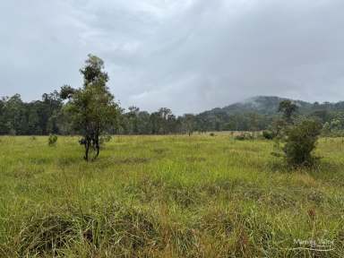 Farm Sold - NSW - Willina - 2423 - Ready for the Weekend!  (Image 2)