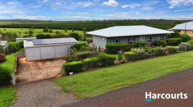 Farm For Sale - QLD - Cordalba - 4660 - ALL THE I WANTS IN ONE PLACE!  (Image 2)