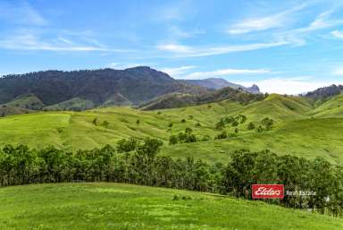 Farm For Sale - NSW - Bretti - 2422 - "Arcadian Park"  (Image 2)