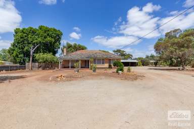 Farm For Sale - WA - Northam - 6401 - Spacious Farmhouse-Style Property with Avon Valley Views  (Image 2)