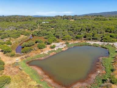 Farm For Sale - WA - Youngs Siding - 6330 - Duck Pond Farm  (Image 2)