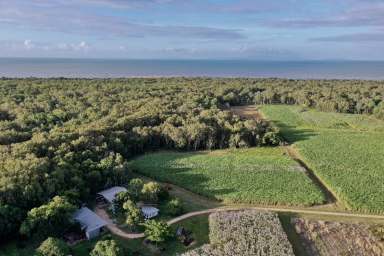 Farm For Sale - QLD - Coolbie - 4850 - 689 Acres - Coastal Cropping/Cattle Lifestyle Property  (Image 2)