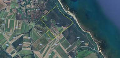 Farm For Sale - QLD - Coolbie - 4850 - 689 Acres - Coastal Cropping/Cattle Lifestyle Property  (Image 2)