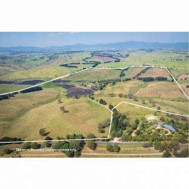 Farm For Sale - NSW - Kameruka - 2550 - 'Rockleigh' - A Model Farm  (Image 2)