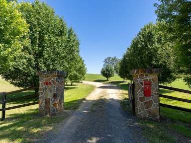 Farm For Sale - NSW - Candelo - 2550 - BEAUTIFULLY UNIQUE  (Image 2)