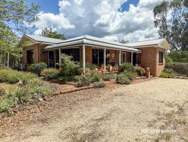 Farm For Sale - NSW - Inverell - 2360 - HOME AMONG THE GUM TREES  (Image 2)