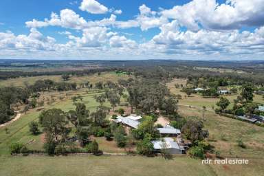 Farm For Sale - NSW - Inverell - 2360 - HOME AMONG THE GUM TREES  (Image 2)