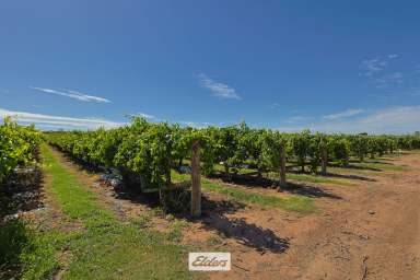 Farm For Sale - NSW - Gol Gol - 2738 - Work, Rest and Play on 20 acres  (Image 2)