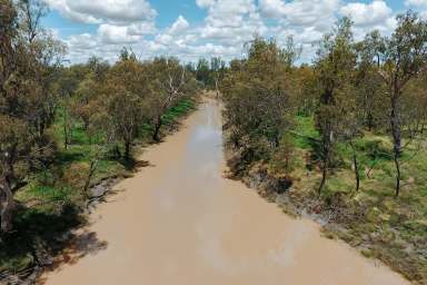 Farm Auction - QLD - Ranges Bridge - 4405 - FARMING OR BACKGROUNDING - IT'S YOUR CHOICE  (Image 2)