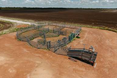 Farm Auction - QLD - Ranges Bridge - 4405 - FARMING OR BACKGROUNDING - IT'S YOUR CHOICE  (Image 2)