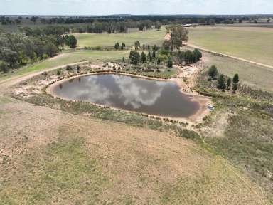 Farm For Sale - NSW - Dubbo - 2830 - Well positioned Mixed Property between Narromine & Dubbo  (Image 2)