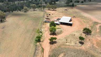 Farm For Sale - NSW - Dubbo - 2830 - Well positioned Mixed Property between Narromine & Dubbo  (Image 2)