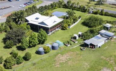 Farm For Sale - NSW - South Grafton - 2460 - 11.5 ACRE FARM IN SOUTH GRAFTON  (Image 2)