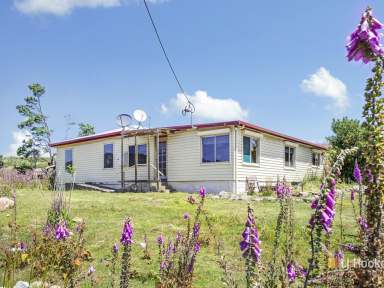 Farm For Sale - TAS - Frankford - 7275 - TWO DWELLINGS ON LARGE ACREAGE  (Image 2)