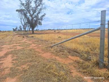 Farm For Sale - WA - Kellerberrin - 6410 - KELLERBERRIN 'DOWDINGS'  (Image 2)