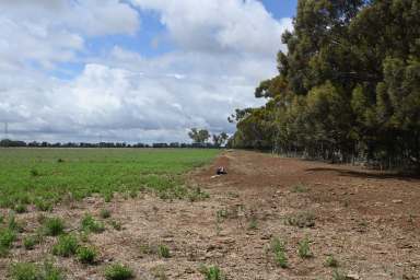 Farm For Sale - VIC - Calivil - 3573 - "Meighans"  (Image 2)