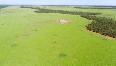 Farm Auction - QLD - Surat - 4417 - Well Developed Buffel Grass Grazing  (Image 2)