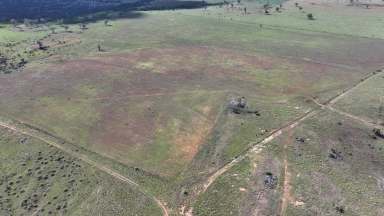 Farm For Sale - NSW - Gravesend - 2401 - Part Nundah, Gravesend  (Image 2)