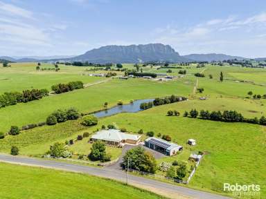 Farm For Sale - TAS - Sheffield - 7306 - Idyllic Small Acreage on the Edge of Town  (Image 2)