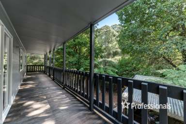 Farm For Sale - VIC - Powelltown - 3797 - EXEMPLARY!  (Image 2)