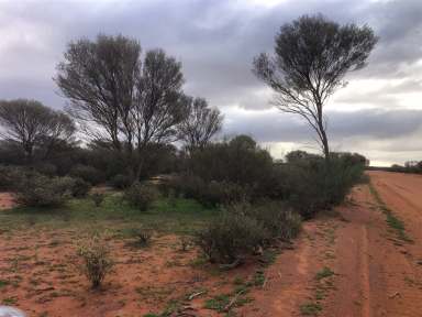 Farm For Sale - WA - Mount Magnet - 6638 - MOUNT FARMER STATION, Murchison Region, Shire of Mt Magnet  (Image 2)