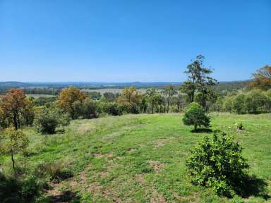 Farm For Sale - QLD - Pratten - 4370 - Lifestyle Property 38km from Warwick  (Image 2)